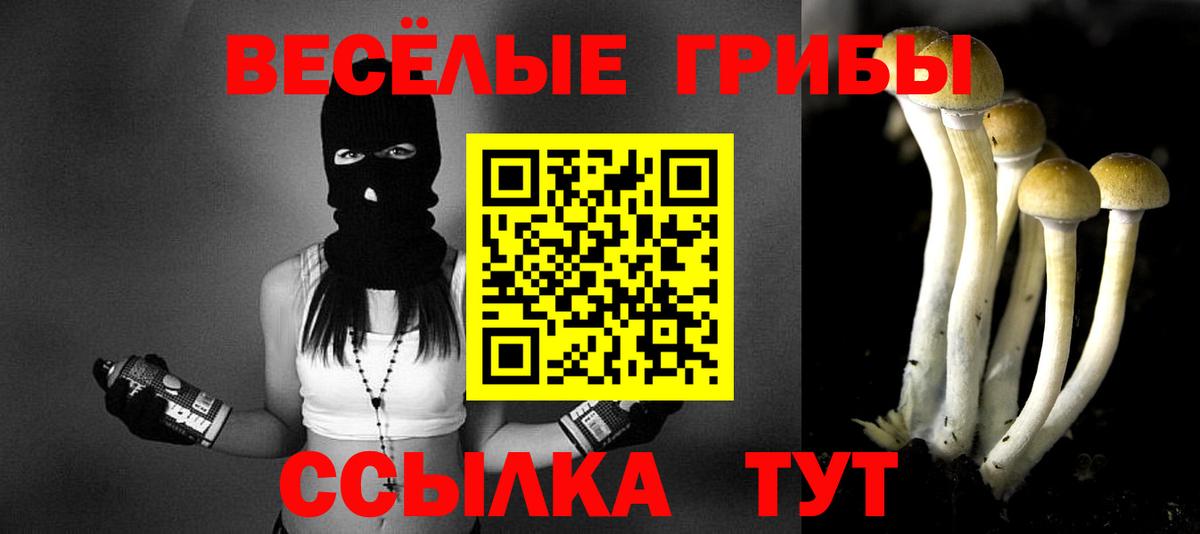 Галлюциногенные грибы Magic Shrooms Прохладный