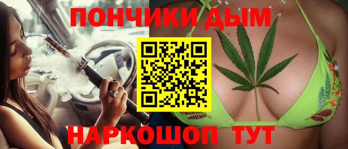 Канабис сатива Прохладный