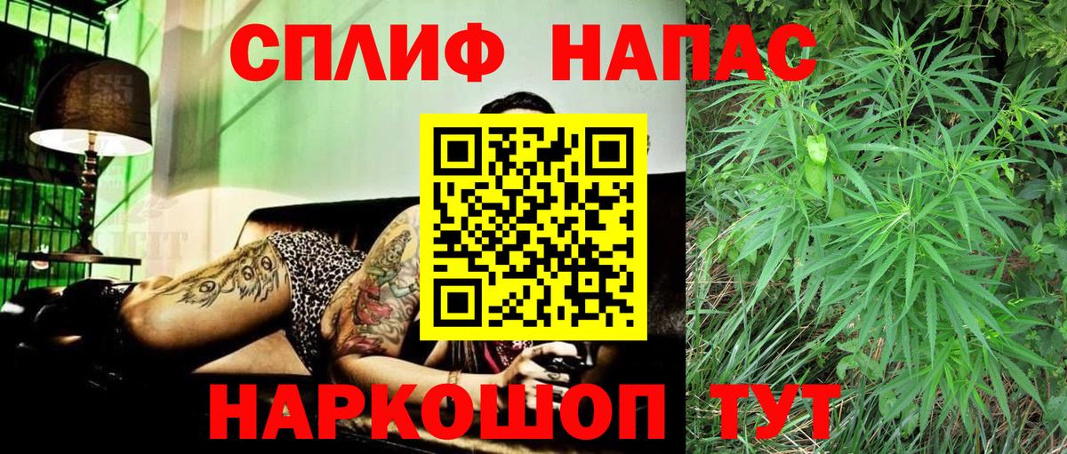 Канабис семена  Каннабис планчик  Прохладный  МАРИХУАНА тримм  Вход с VPN 